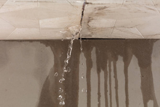 Professional Water Damage Repair technician working in Larkspur, CA